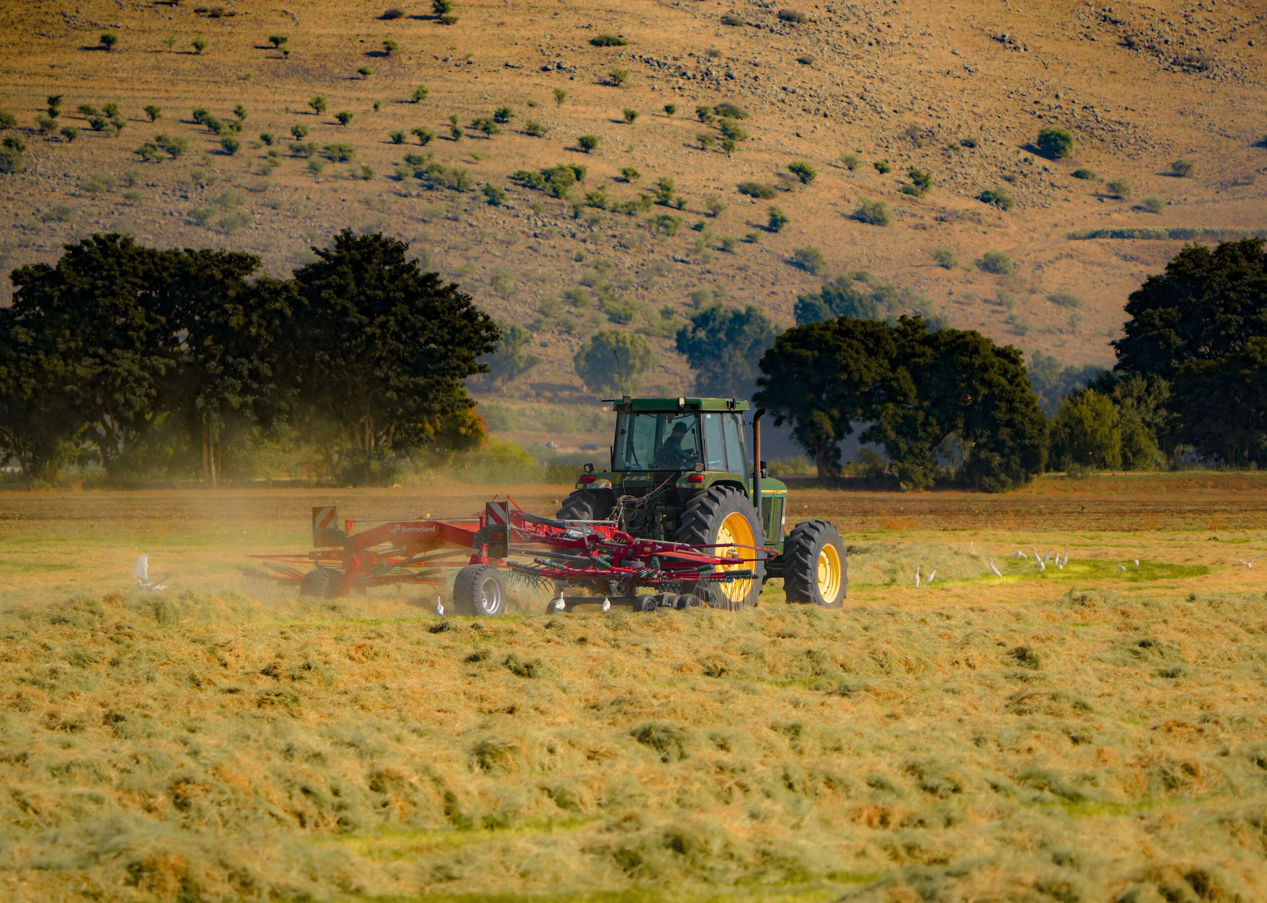 Poda de precisión en predios agrícolas